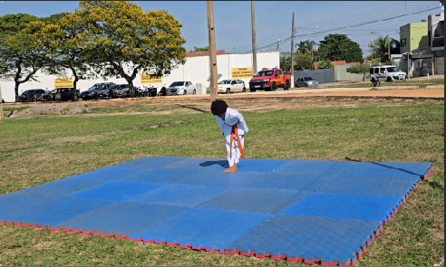 Apresentação Karatê